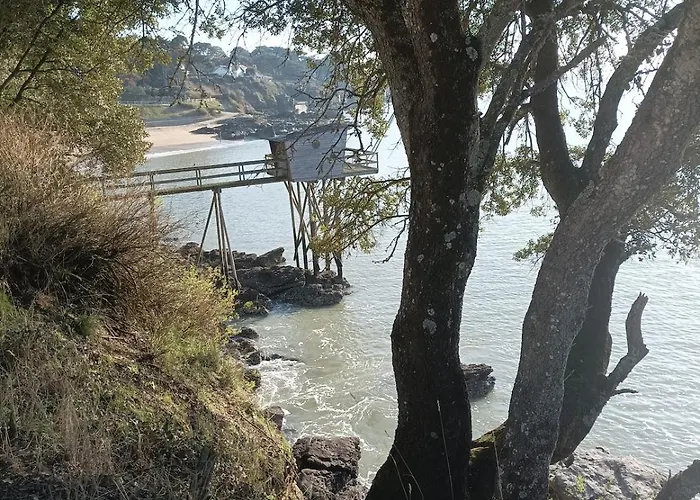 T2 L'oree Du Golf Labellise 3 Etoiles - Terasse Et Parking Apartamento